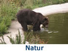 natur-reisetipps-navi
