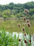 russe-lom-naturreservat